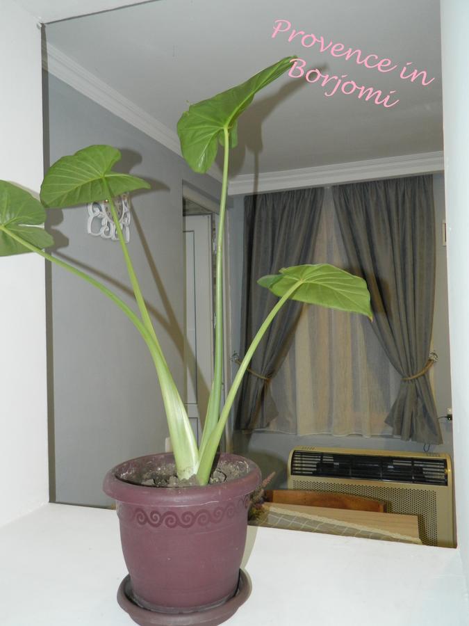 Nikas Guest House ボルジョミ エクステリア 写真